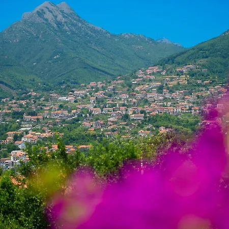 Apartment Rosa Maison